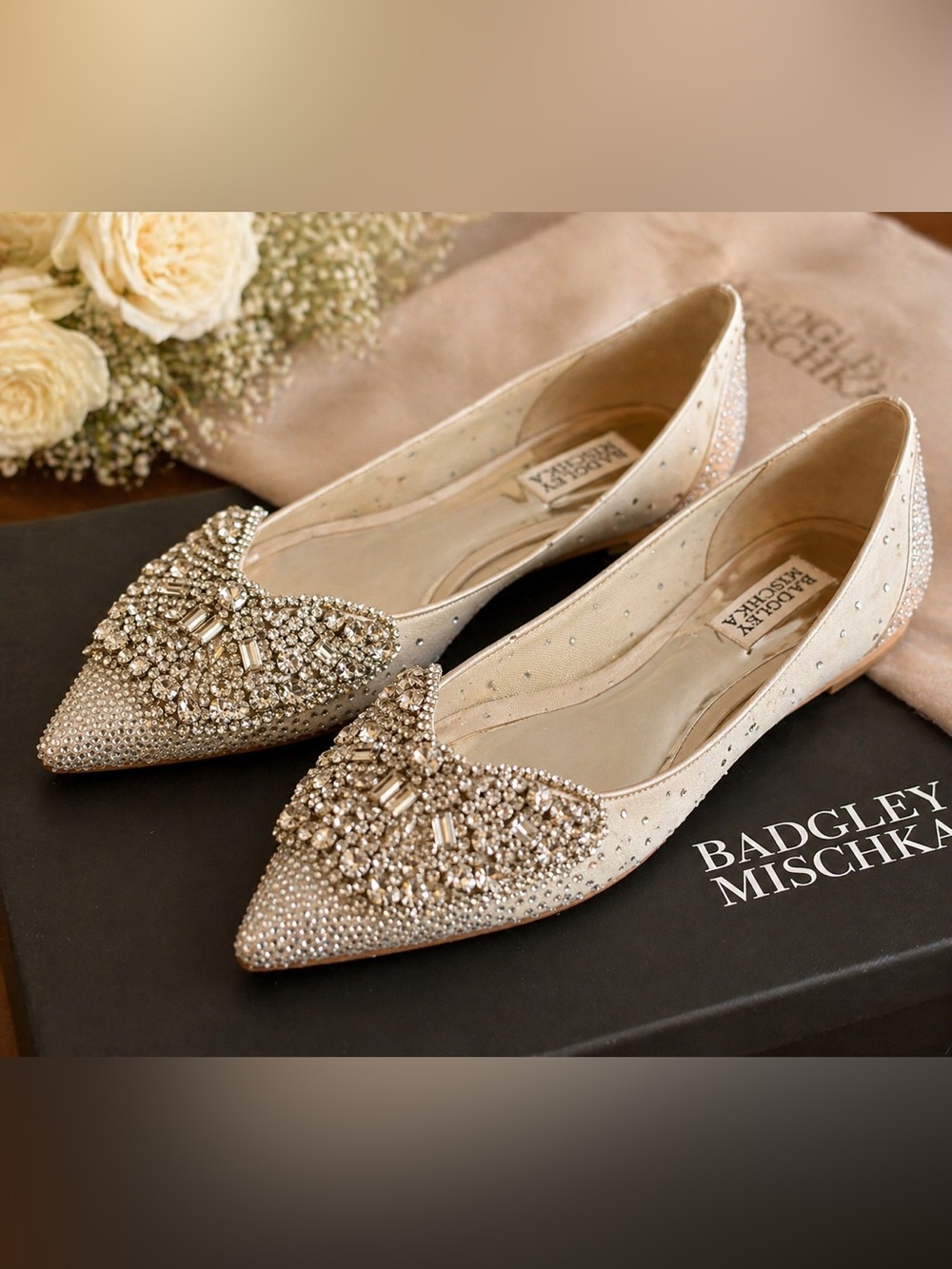 Badgley Mischka Quinn Champagne Pink Crystal Embellished Pointed Flats